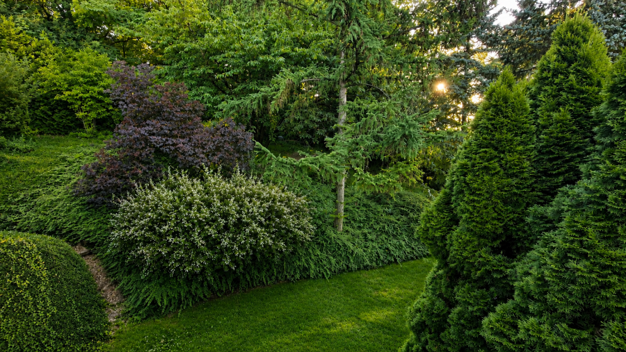 Der Garten rechts