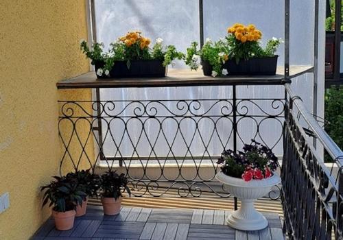 Balkon 