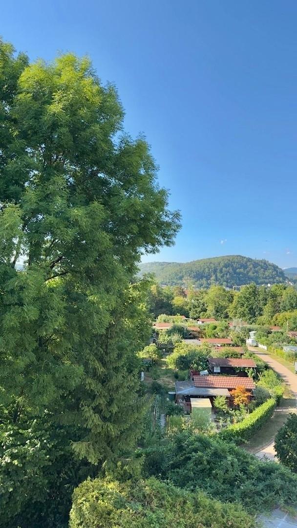 Ausblick Balkon