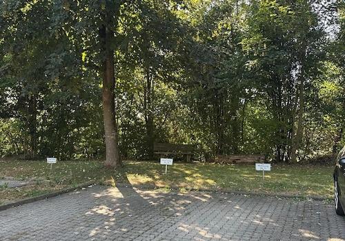 Stellplatz 1