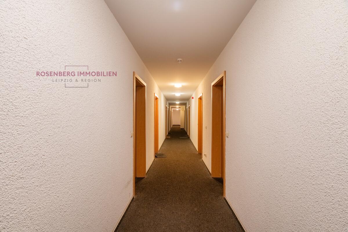 Immobilie in Leipzig / Altlindenau zu verkaufen_Flur