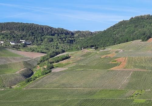 Aussicht