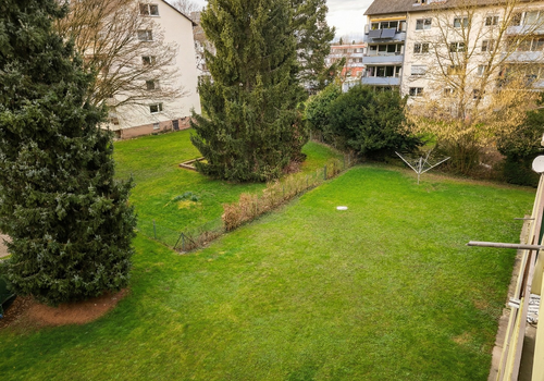 Blick in den Garten 