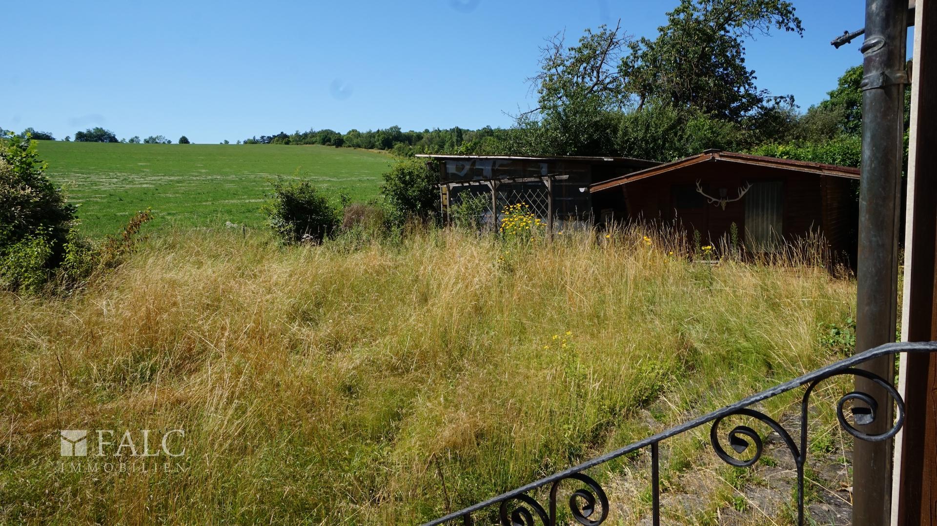 Blick in den Garten