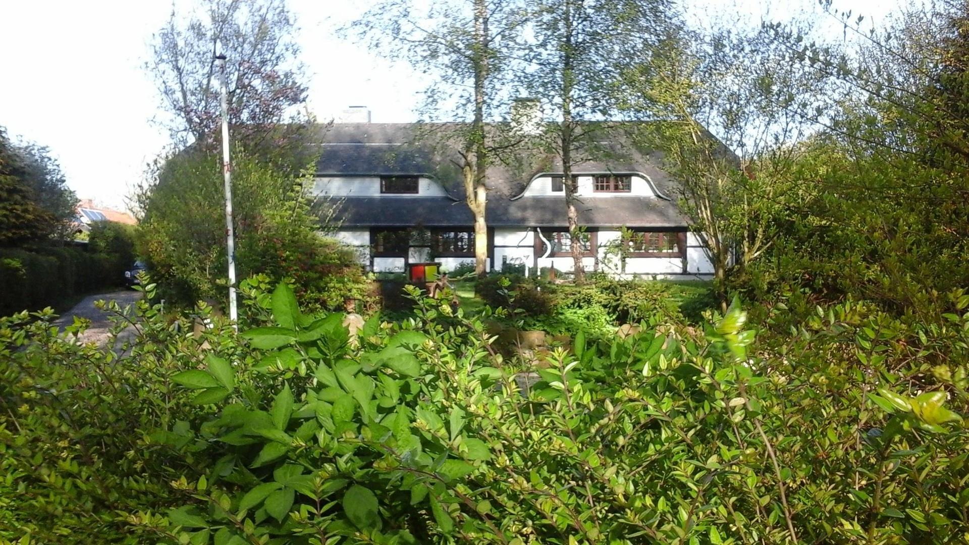 Vorderansicht Sommer