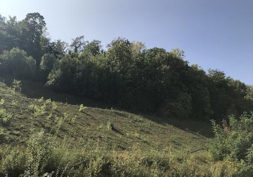 Ausblick Terasse