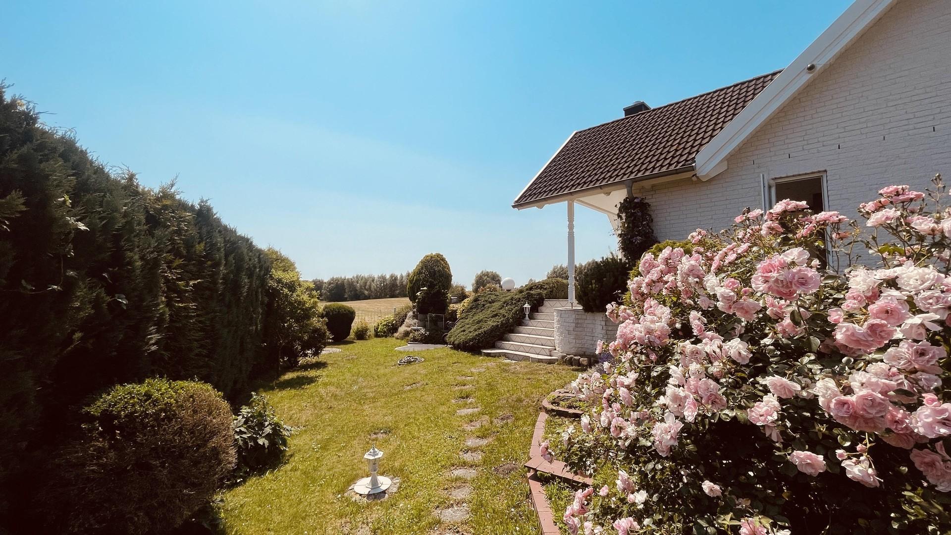 Blick Süd, 06/2026