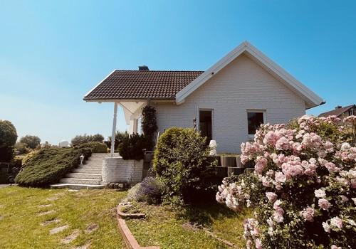Blick West, 06/2026