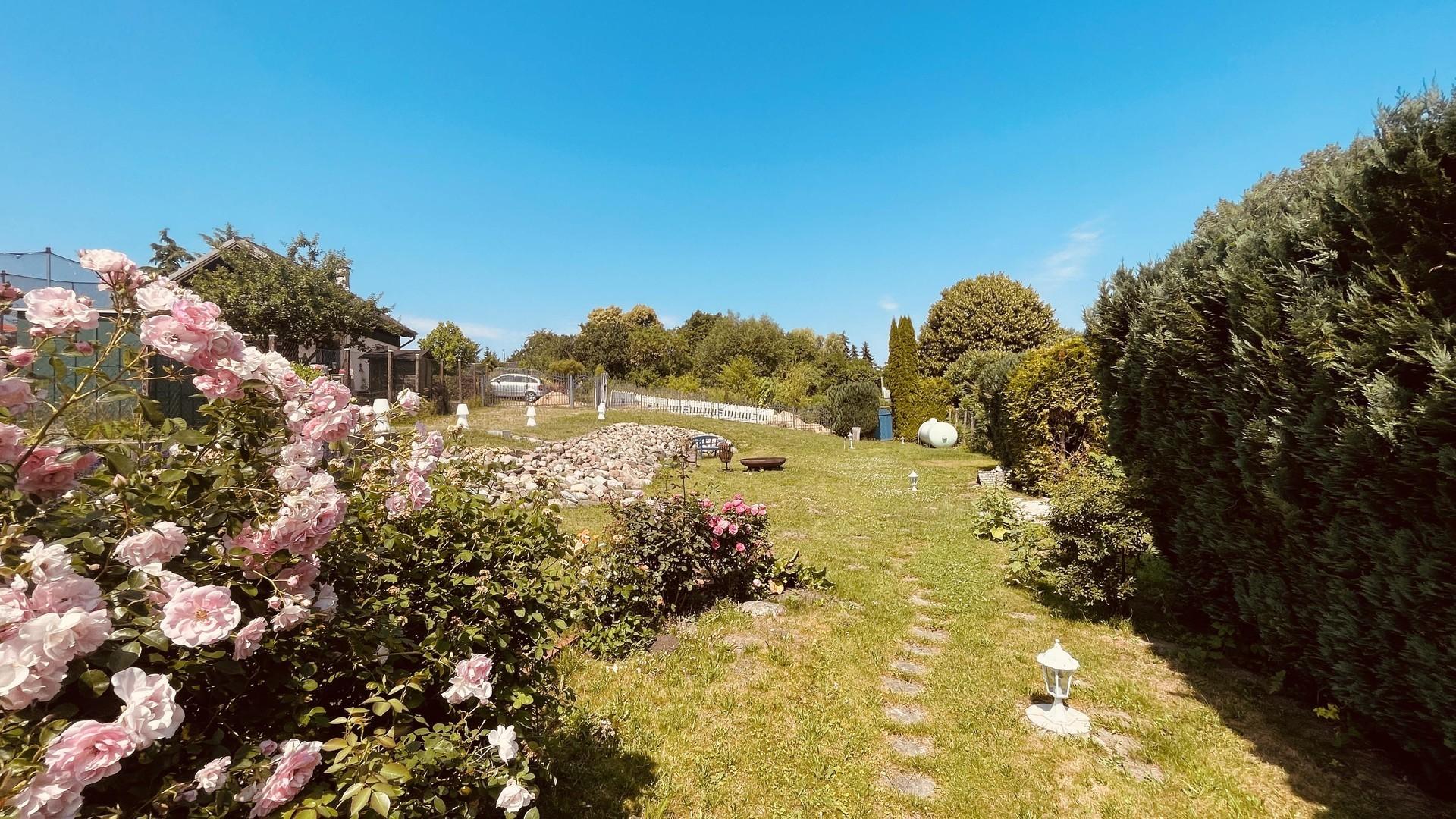 Blick Nord, 06/2026