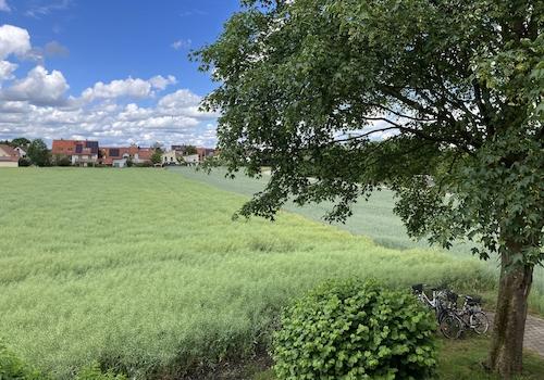Blick auf Garten und Feld