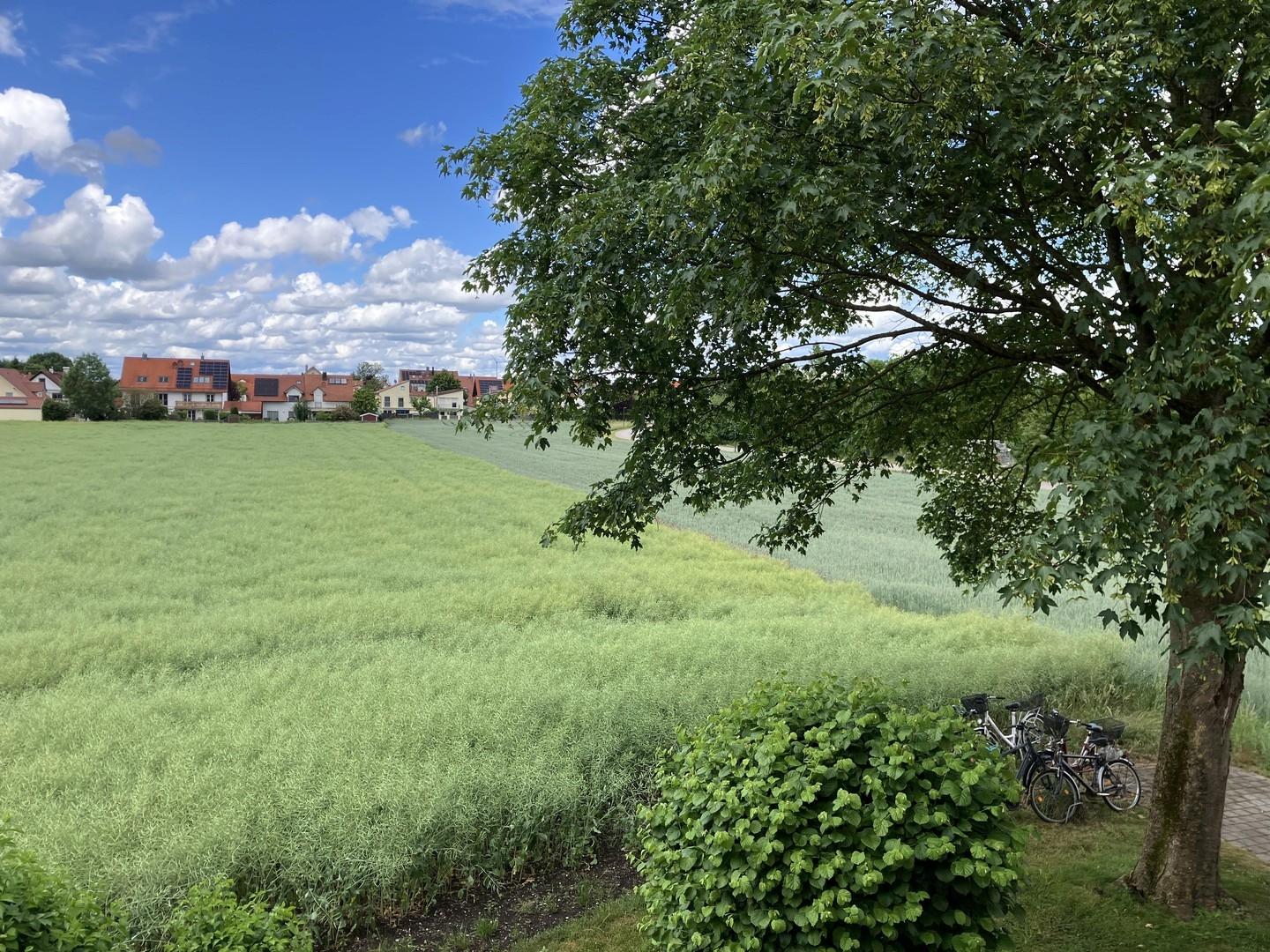 Blick auf Garten und Feld