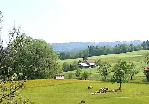 Umgebung