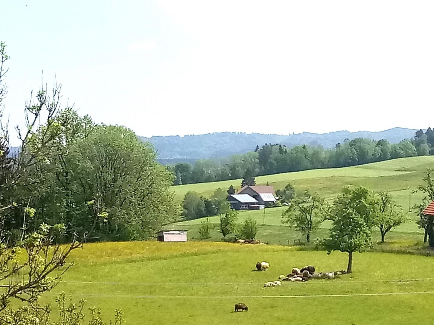 Umgebung