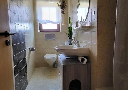 WC mit Dusche