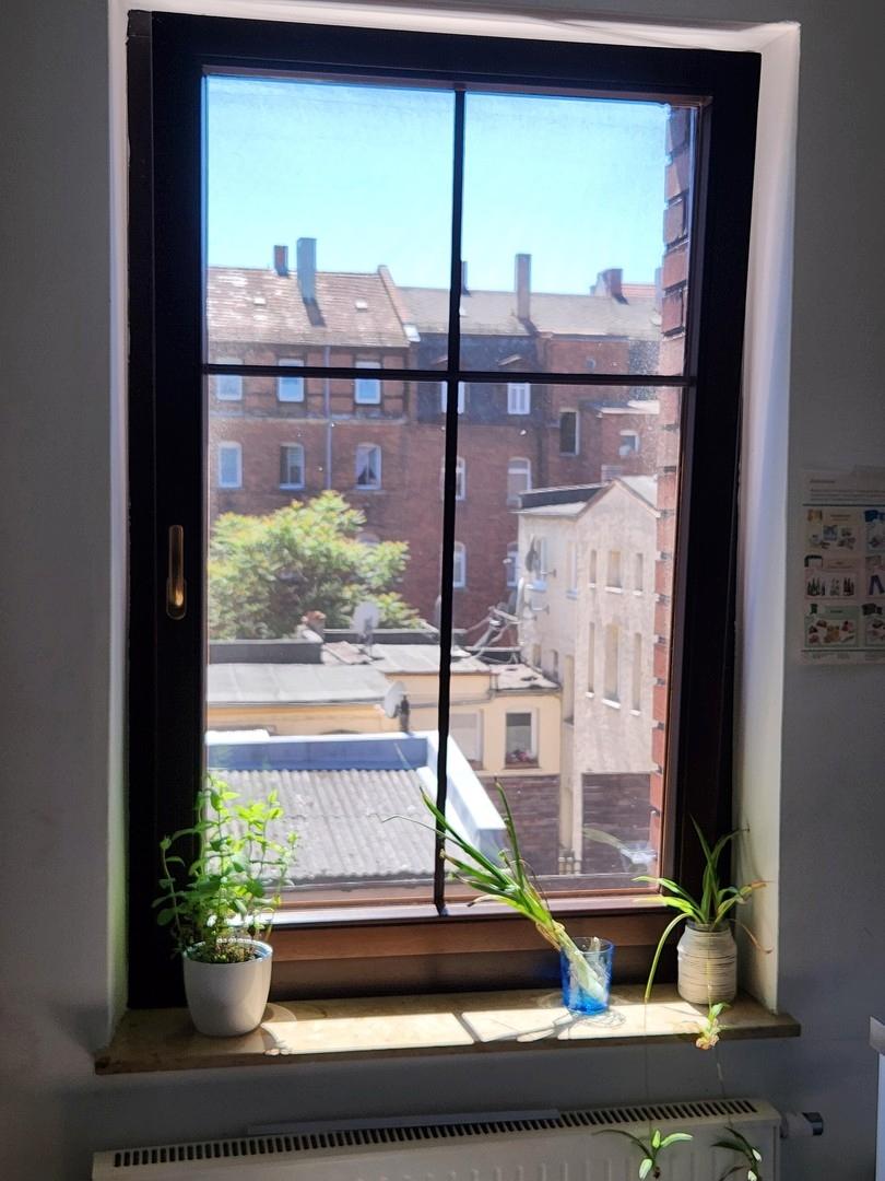 Blick aus Küche