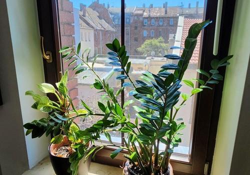 Blick aus Zimmer 4