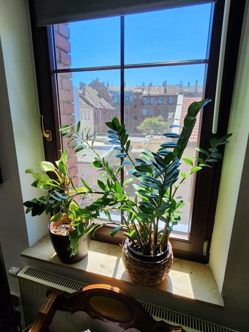 Blick aus Zimmer 4