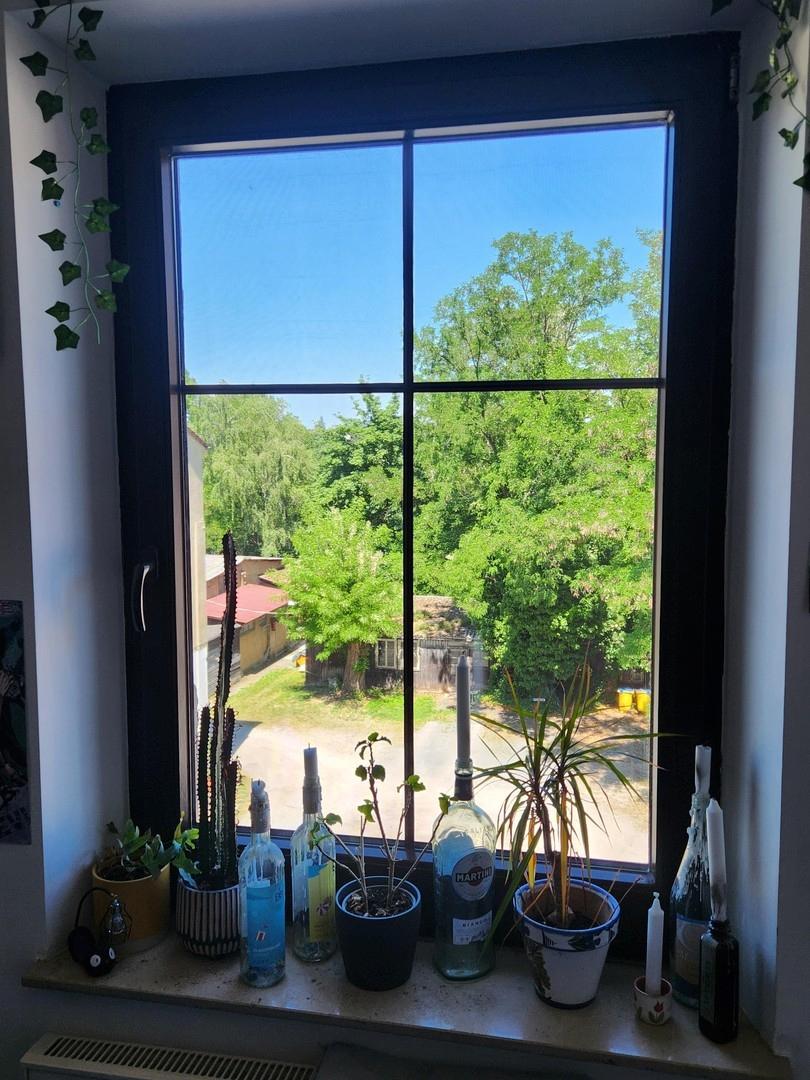Blick aus Zimmer 3