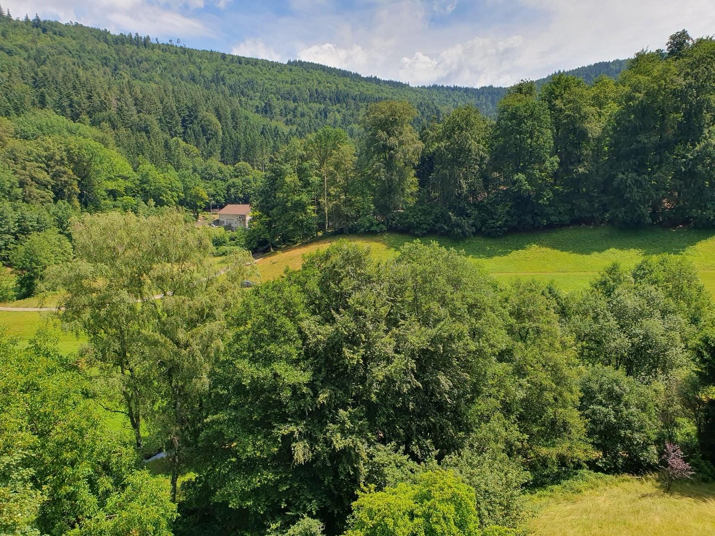 Blick von der Terrasse