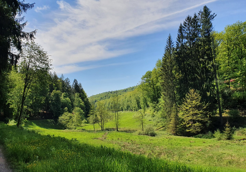 Natur pur!