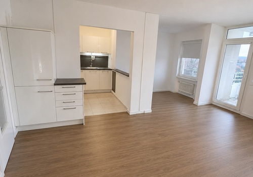 Küche / Wohnzimmer