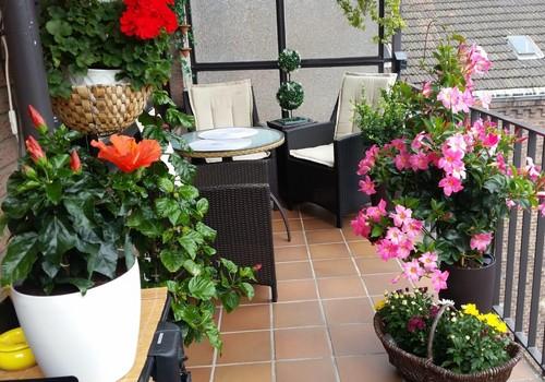 Balkon