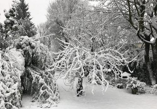 Winterimpression