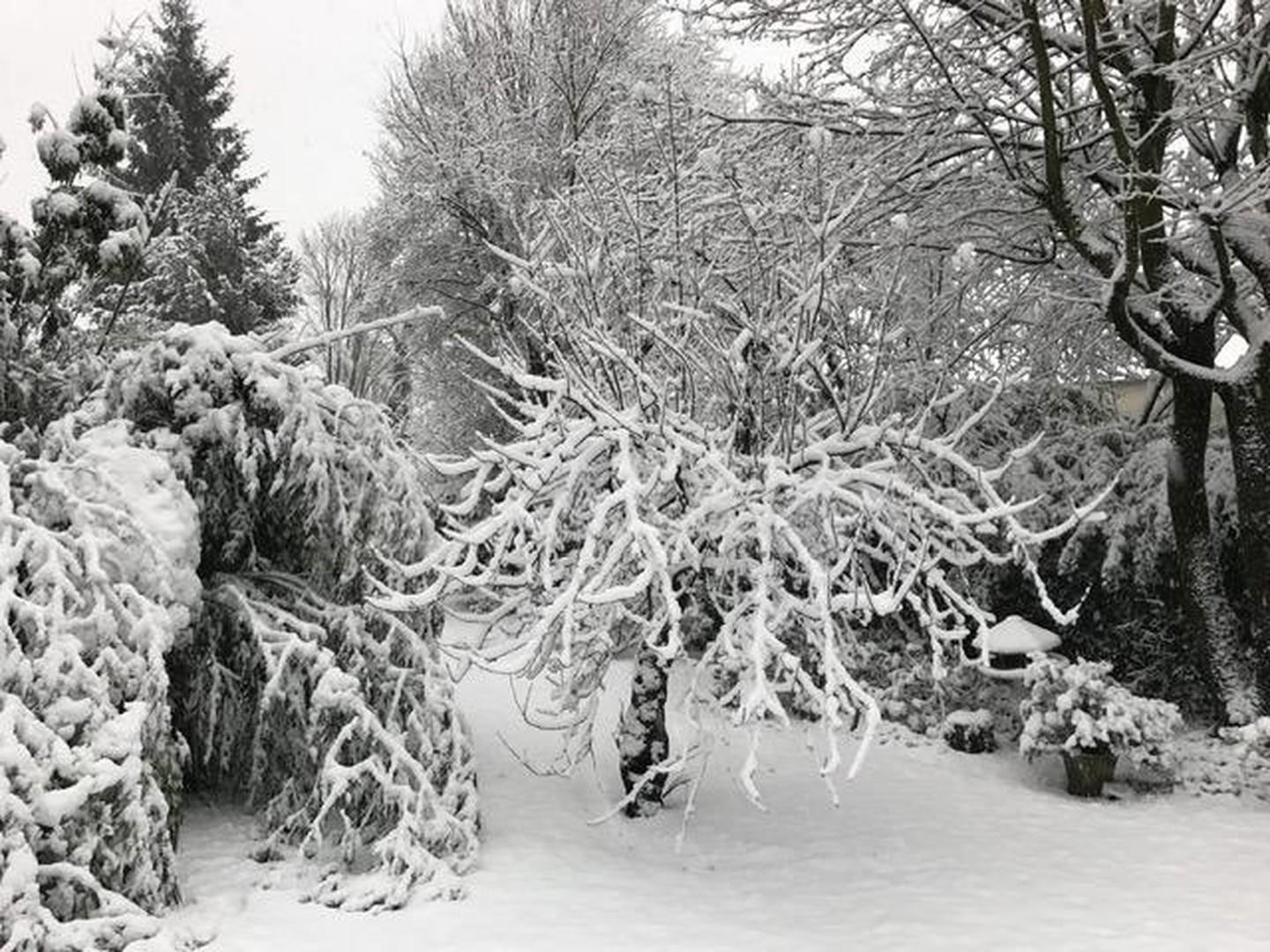 Winterimpression