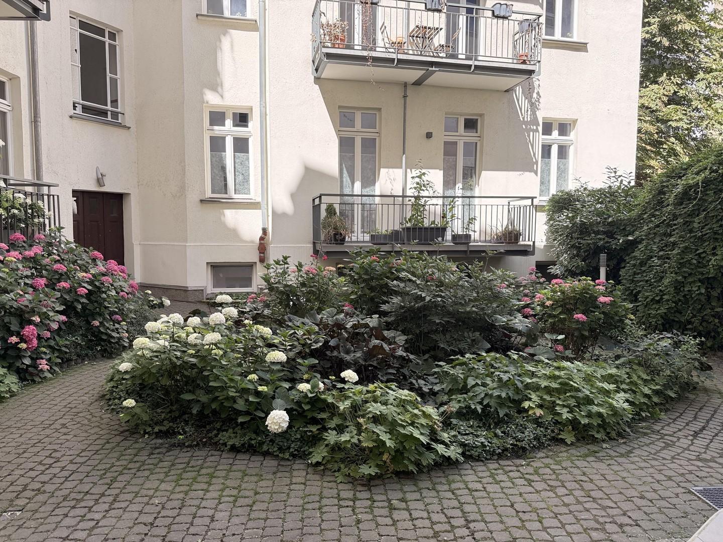 Garden 