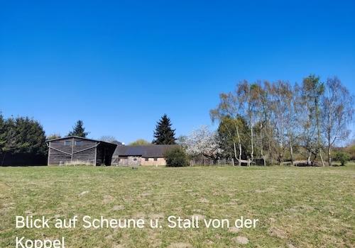 Blick auf Scheune u. Stall von der Koppel