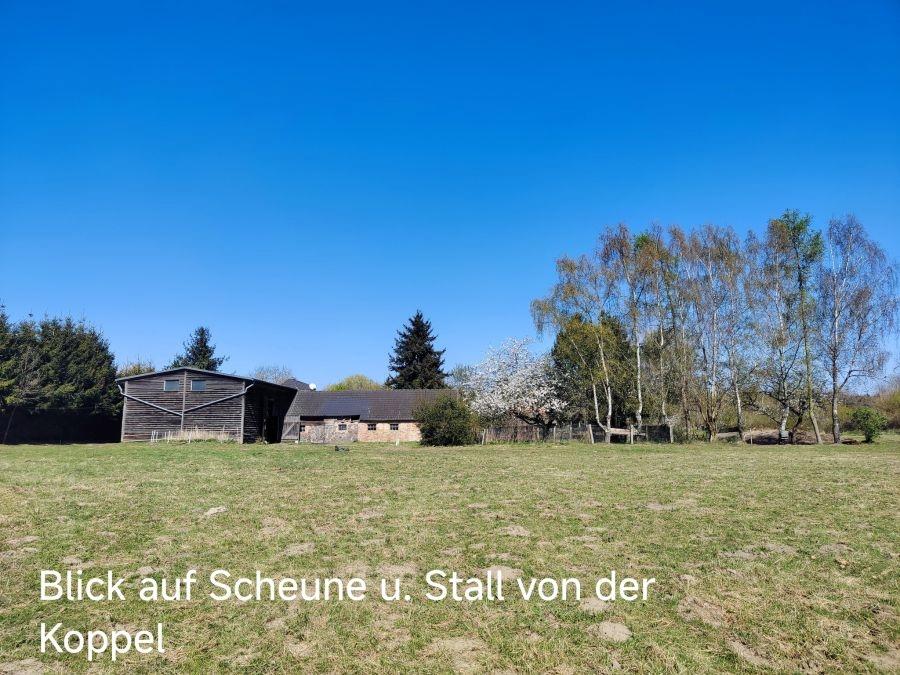 Blick auf Scheune u. Stall von der Koppel