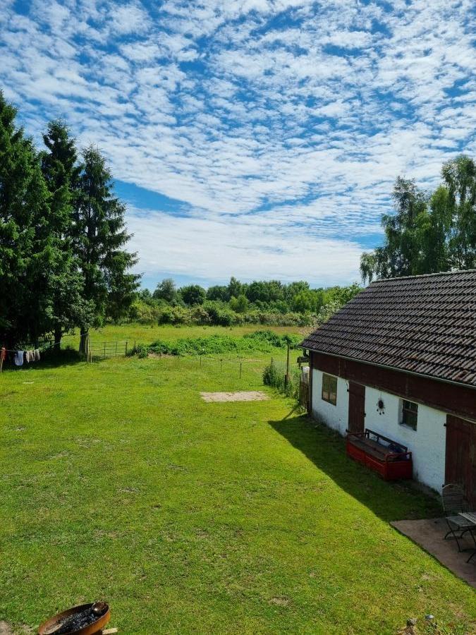 Blick aus Scheune Richung Südost