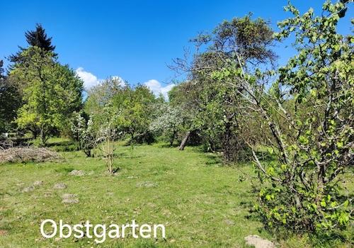 Obstgarten