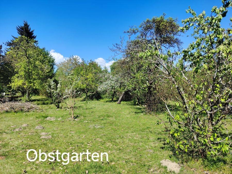 Obstgarten