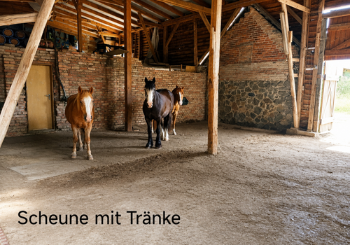 Scheune mit Tränke