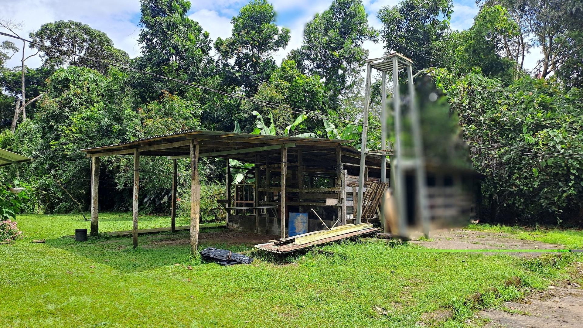Stall und Carport
