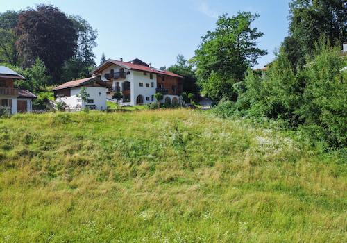 Umliegende Nachbarschaft
