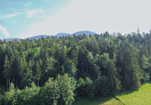 Natur pur