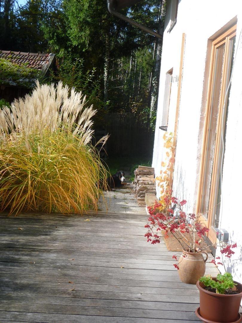 Südseite/Terrasse