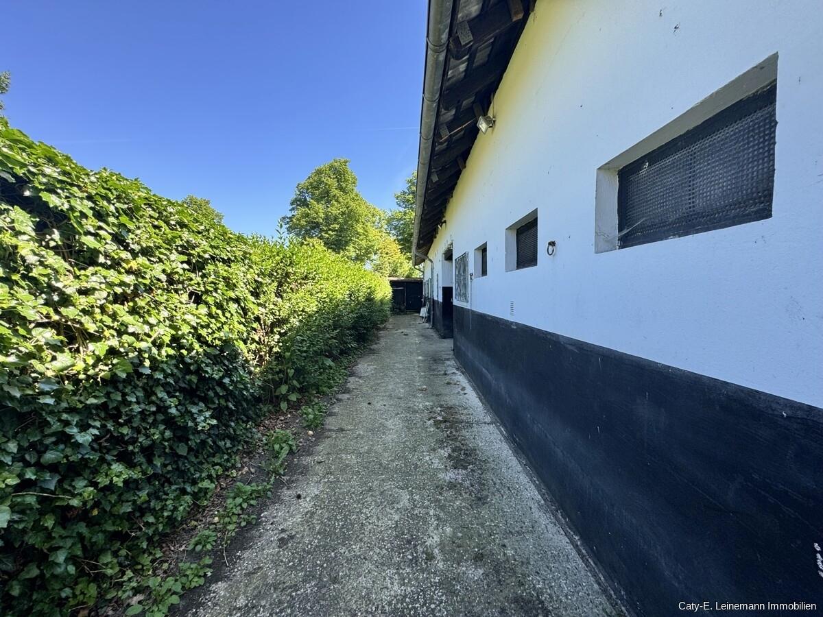 Stallgebäude Zuwegung