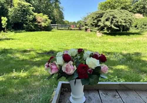 Impression Garten