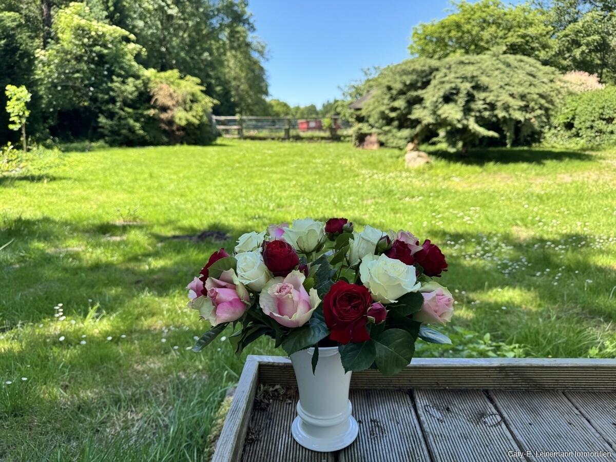 Impression Garten