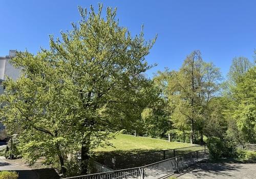Blick vom Balkon