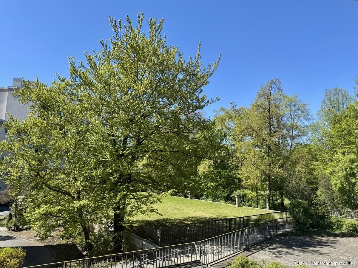 Blick vom Balkon