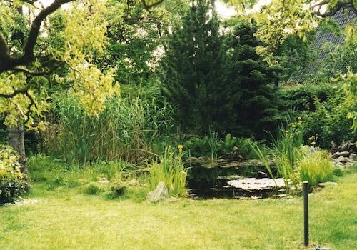 Teich
