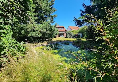 Von hinter dem Teich zum Haus