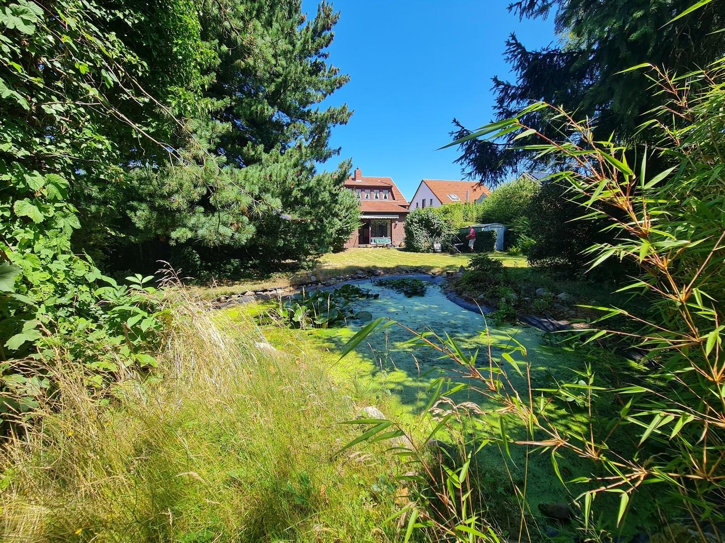 Von hinter dem Teich zum Haus