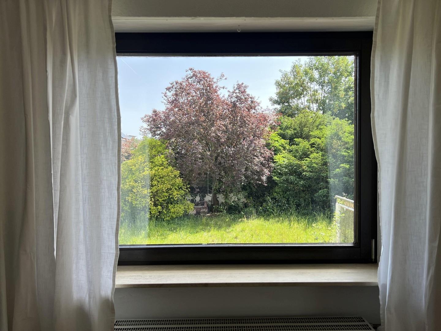 Blick in den Garten