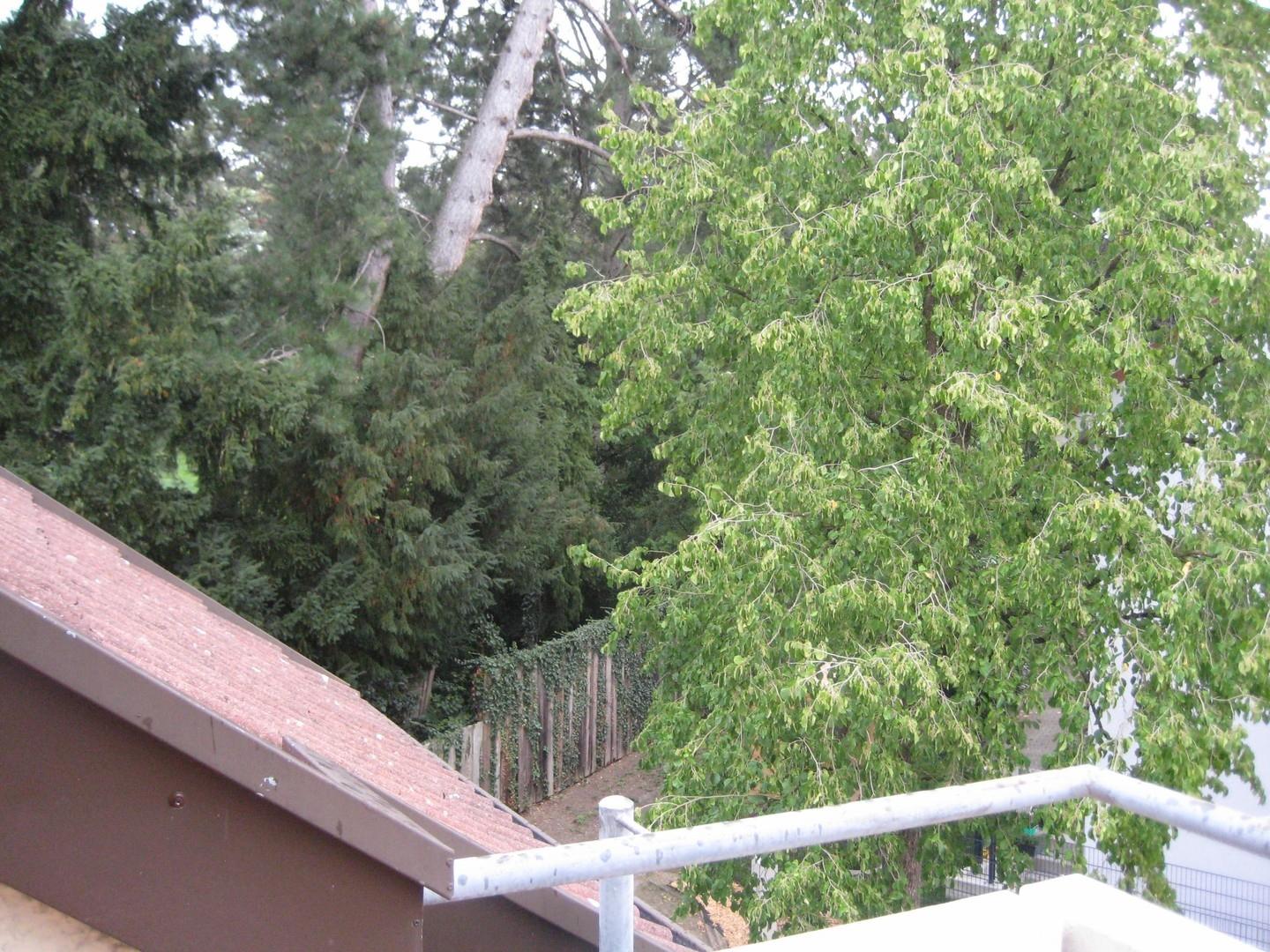 Aussicht vom Balkon