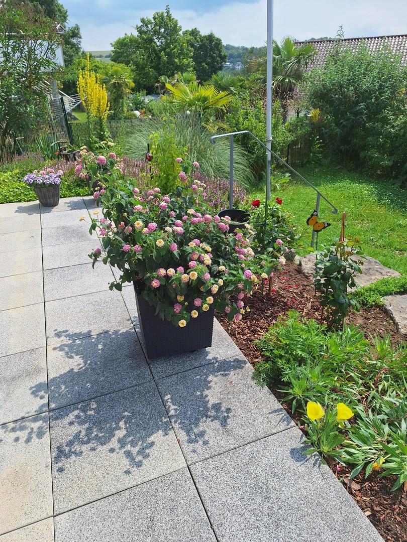 Gartenimpressionen